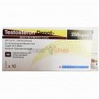 Pan Pharma Testosteron Enanthate 250mg 10 Ampul
