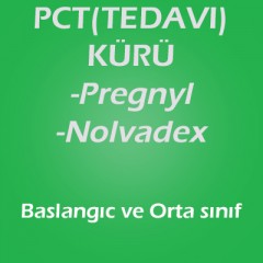 Pct(Tedavi) Kürü-Başlangıç ve Orta sınıf