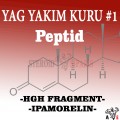 Peptid Yağ Yakım Kürü #1