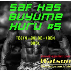 Saf Kas Büyüme Kürü #5