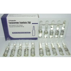 Aburaihan Testosteron Enathate 250mg 10 Ampul