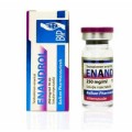 Balkan Pharma Testosteron Enanthate 250mg 10ml