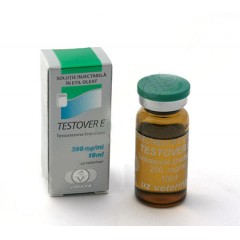 Vermodje Testover E 250mg 10ml Flakon (Testosteron Enanthate)